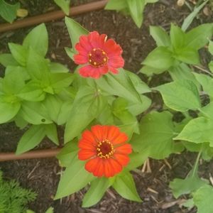 Additional offers!!!!